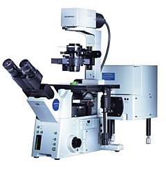 Confocal Laser Scanning Biological Microscope FV1000 FluoView with two photon-Olympus